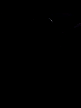 john12-931 online show from 11.21.25