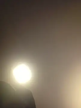 piggylatino online show from 03.19.26