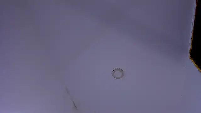 tiven-prince online show from 01.10.26