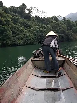 Site-loe online show from 12.18.25