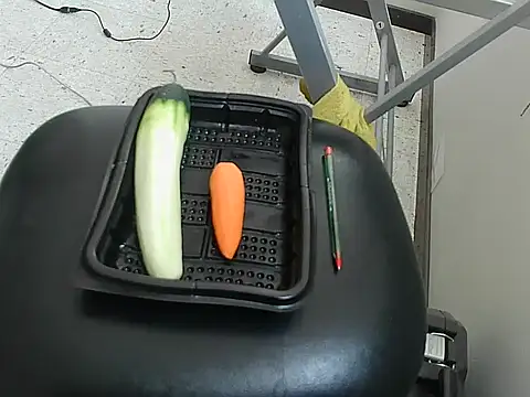 ivana latina online show from 12.19.25