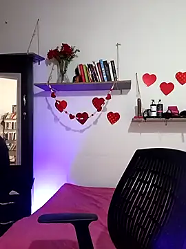 Snapshot of Melinerd chatting on 02.20.26 Melinerd online show from 02.20.26