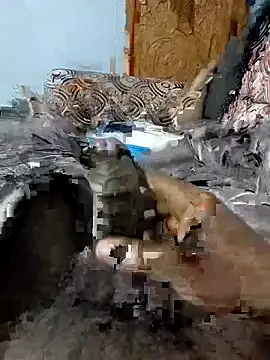 spermc online show from 02.06.26