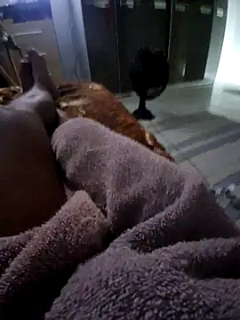 krett65 online show from 12.05.25