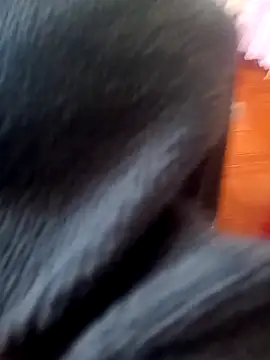 Jeison0323 online show from 02.25.26