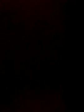 starnighcouple online show from 12.22.25