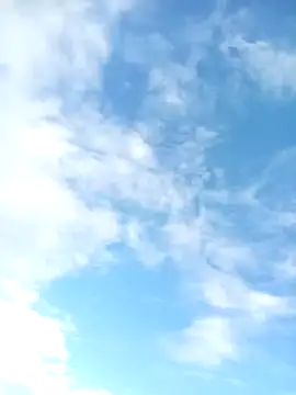 juunioreest online show from 01.10.26