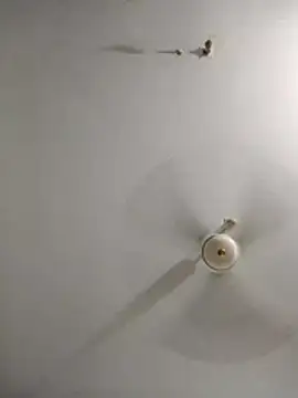 Snapshot of rupamim chatting on 03.26.26 rupamim online show from 03.26.26