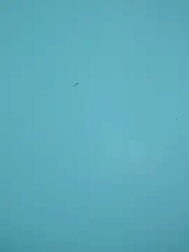 braidqueen00 online show from 02.15.26