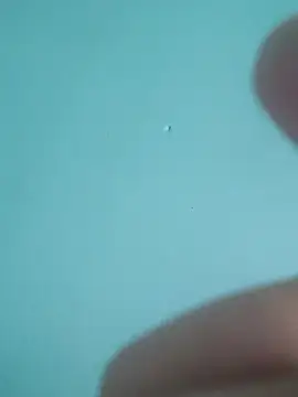 braidqueen00 online show from 02.19.26