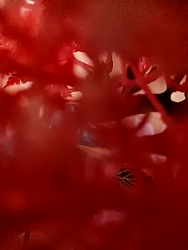 Jbsmaster online show from 11.19.25