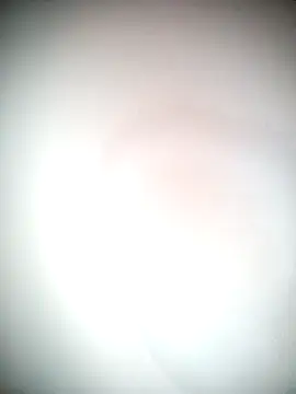 Snapshot of Ariana101 chatting on 11.24.25 Ariana101 online show from 11.24.25