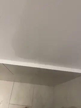 Maia0823 online show from 11.21.25