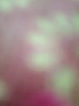 Nandani-758 online show from 02.20.26