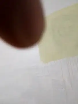 paoandjoe1010 online show from 11.22.25