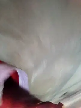 Minsexy66 online show from 12.02.25