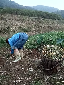 nangmo online show from 03.18.26