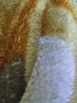 luckyutube online show from 12.21.25