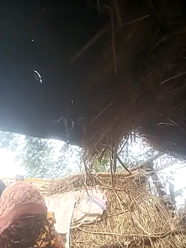 Hot srei online show from 12.01.25