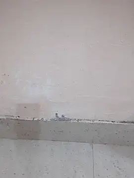 Snapshot of Alli8900 chatting on 03.19.26 Alli8900 online show from 03.19.26