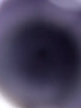 rara0728 online show from 12.14.25