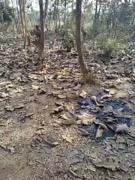 88zaifkhan88 online show from 01.08.26