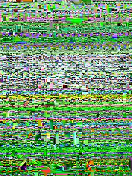 Snapshot of alexzzzzzppp chatting on 11.27.25 alexzzzzzppp online show from 11.27.25