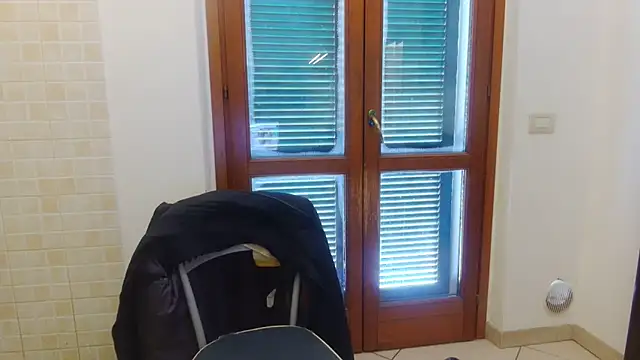 Snapshot of AMIRDIB2025 chatting on 02.21.26 AMIRDIB2025 online show from 02.21.26