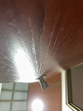 Dafne se online show from 01.18.26