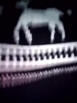 iam-eli online show from 01.16.26