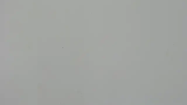 Snapshot of Ladymadinght chatting on 02.04.26 Ladymadinght online show from 02.04.26