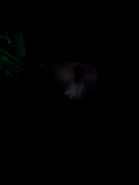 KF hway online show from 03.25.26