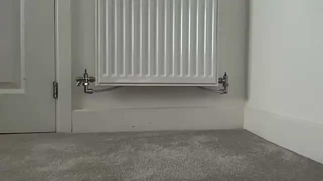 RandyRik online show from 12.18.25