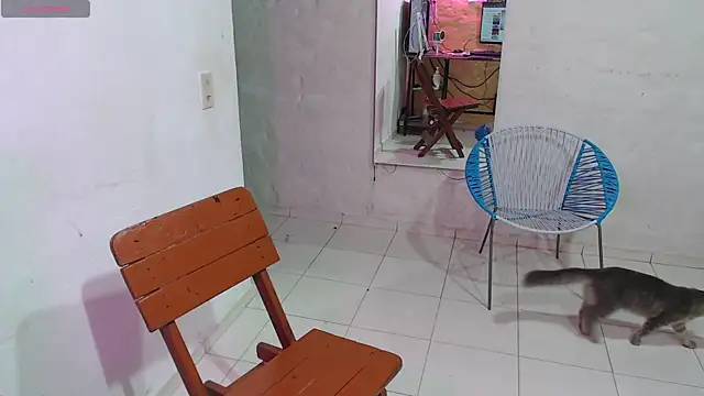 Snapshot of maxI_dick33 chatting on 02.14.26 maxI dick33 online show from 02.14.26