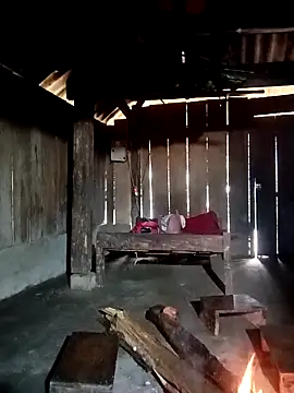 ava-dellght online show from 01.07.26