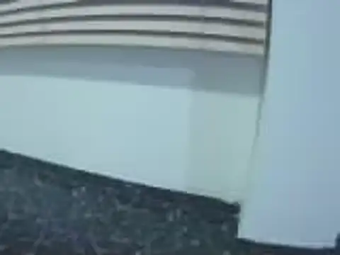 Fernanda andrew online show from 03.03.26