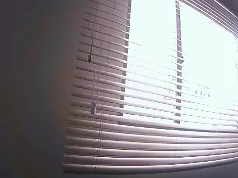 Fernanda andrew online show from 03.25.26