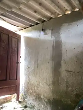 Samsam-006 online show from 01.17.26