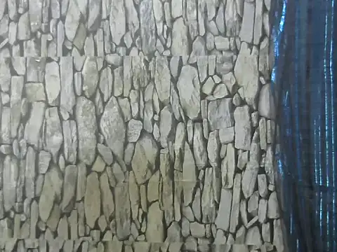 Snapshot of Exotic_indian95 chatting on 03.13.26 Exotic indian95 online show from 03.13.26