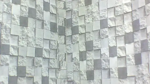 Snapshot of Exotic_indian95 chatting on 04.16.26 Exotic indian95 online show from 04.16.26