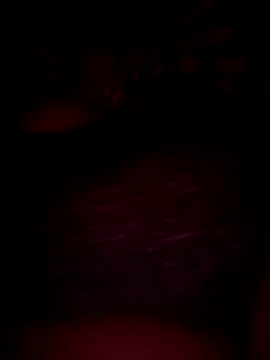 Snapshot of pihuu1313 chatting on 02.20.26 pihuu1313 online show from 02.20.26