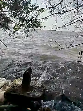 Andreskelly online show from 02.16.26