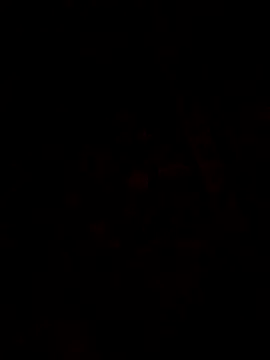 Snapshot of 1Aya1Mustafa chatting on 03.30.26 1Aya1Mustafa online show from 03.30.26