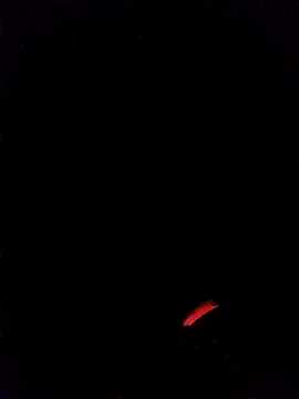 leobct555 online show from 03.22.26