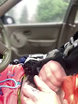 Ldnick69 online show from 03.24.26