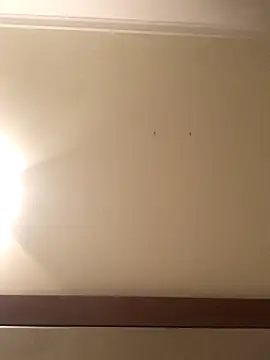 Palinchik online show from 01.07.26