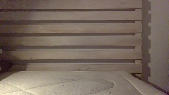 Palinchik online show from 02.25.26