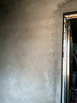 Pege-nii online show from 12.19.25