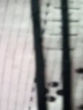 teena-11 online show from 03.23.26