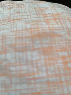 White-Rose-Telugu online show from 12.19.25